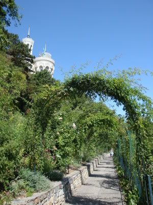 Lyon Colline fourviere