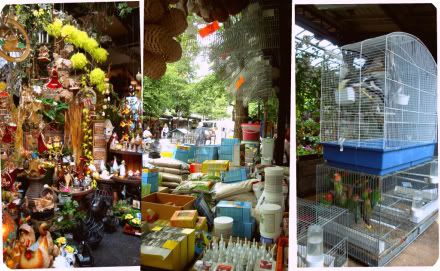 paris 4 arrondissement marche oiseaux fleurs place louis lepine ile cite saint michel cages graines oiseau volatile oiselier grainetier