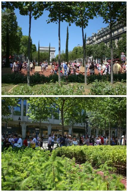 Nature Capitale Paris Champs Elysées vert verdure campagne année de la biodeviversité jardin botanique gad veil jeunes agriculteurs