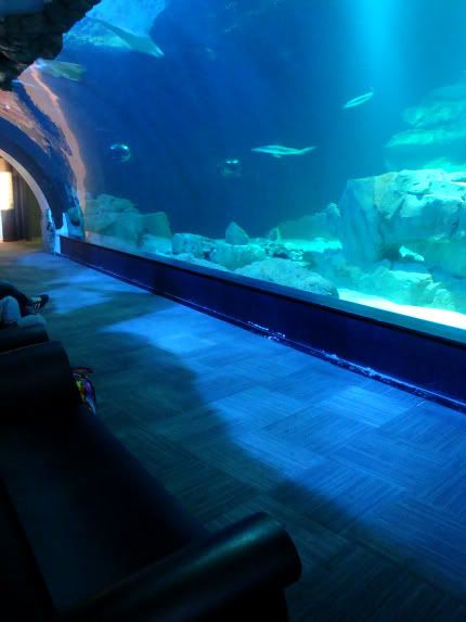cineaqua aquarium paris bassin requin fauteuil poisson observer bulle
