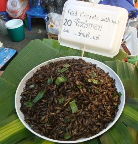 criquet criket salade herbes insectes manger chiang mai aena blog photo voyage thailande