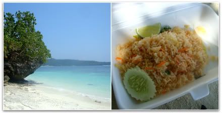  dejeuner  riz monkey island singes ile koh ko phi phi pee pee leh don thailande aena blog voyage photo 