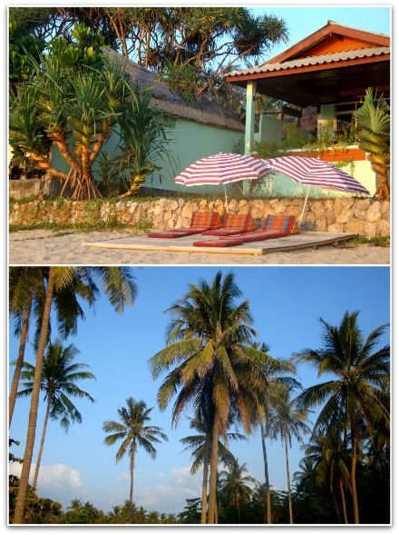 palmier plage klongnin klong nin beach massage aena blog voyage photo tha&iuml;lande ko koh lanta
