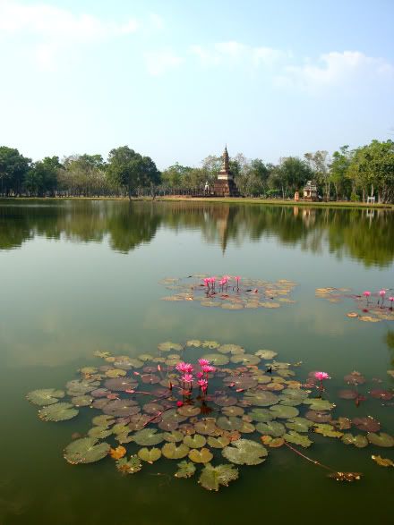 lac etang lotus parc historique old sukhothai aena blog photo voyage thailande