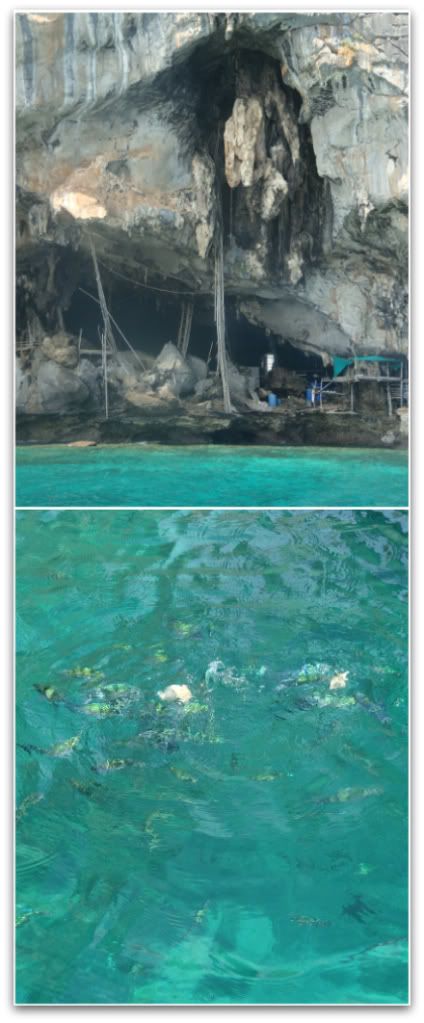  snorkeling grotte nid hirondelle viking cave koh ko phi phi pee pee leh don thailande aena blog voyage photo 