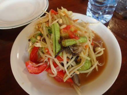 salade papaye verte epicee piment som tam Thailande tha&iuml;lande aena blog photo