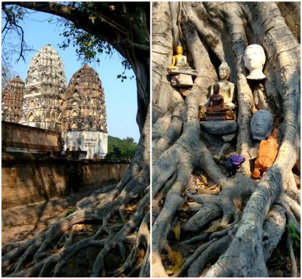 statues racines arbre wat si sri sawai sukhothaiaena blog photo voyage thailande