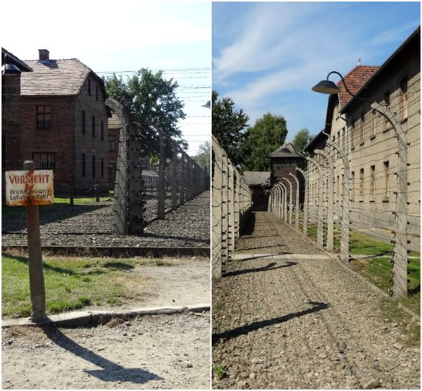 barbeles grillages camp auschwitz visite cracovie krakow 