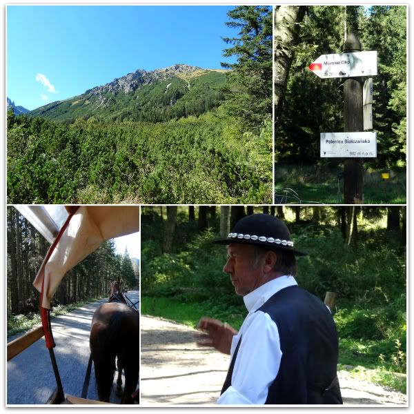 montée cheval chevaux paysage montagne tatras morskie oko zakopane