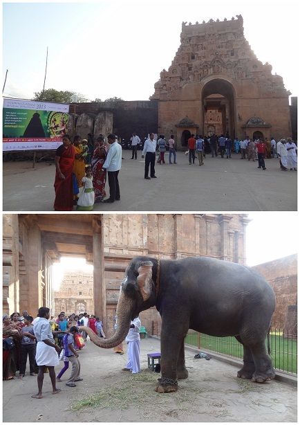photo elephant-big-temple-tanjore_zpsf30ca2b7.jpg