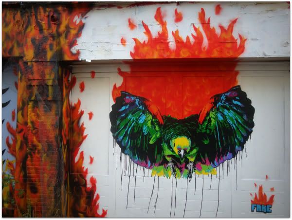 fake fire bird feu oiseau stencil pochoir spuistraat street art amsterdam aena blog photo