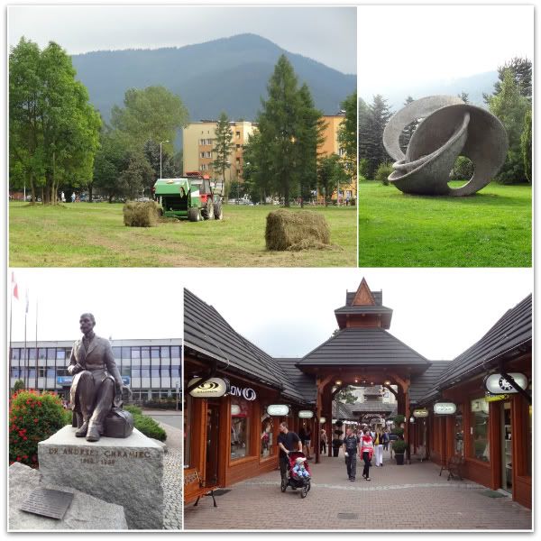 zakopane montagne pologne chamonix polonais paysage