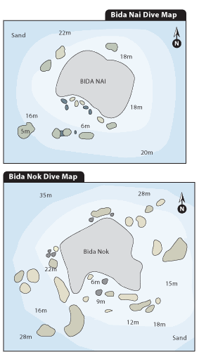 Koh Bida , Tropical scuba diving paradise in Koh Phi Phi