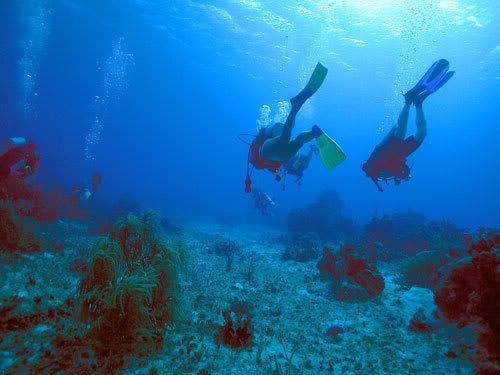 Diving seasons, Thailand