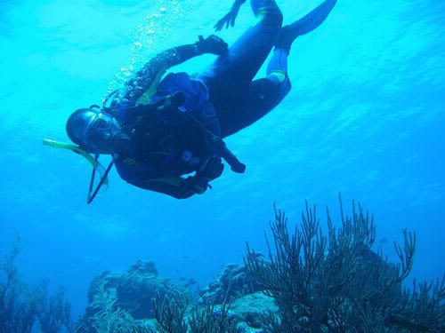 Diving seasons, Thailand