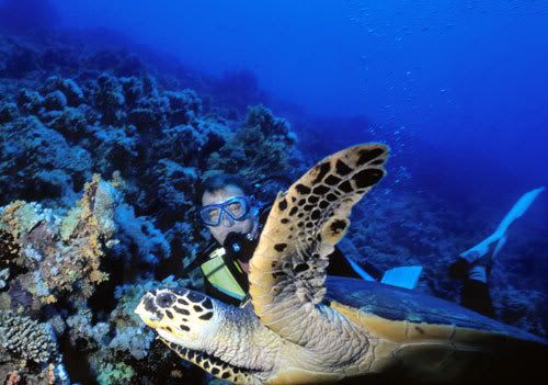 Diving seasons, Thailand