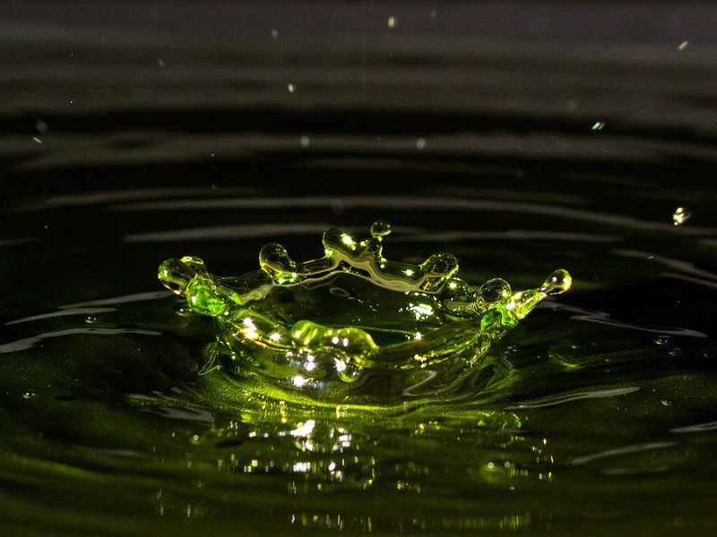 IMAGE: http://i111.photobucket.com/albums/n147/chrisa62401/Fred/b239ef5f.jpg