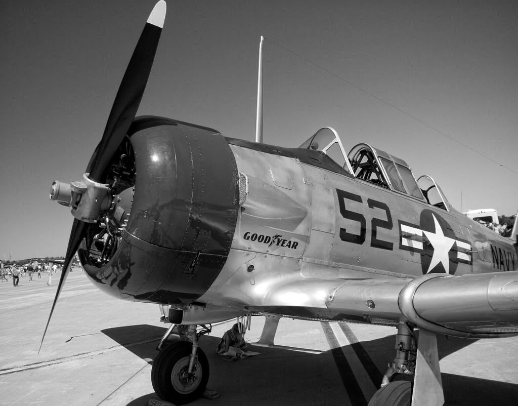 IMAGE: http://i111.photobucket.com/albums/n147/chrisa62401/IMG_8280-1.jpg