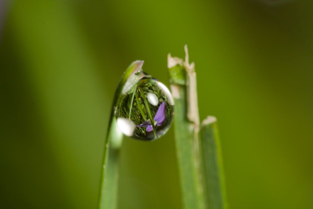 IMAGE: http://i111.photobucket.com/albums/n147/chrisa62401/IMG_9929.jpg