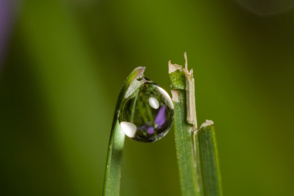 IMAGE: http://i111.photobucket.com/albums/n147/chrisa62401/IMG_9931.jpg