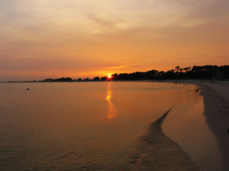 IMAGE: http://i111.photobucket.com/albums/n147/chrisa62401/_MG_8445.jpg