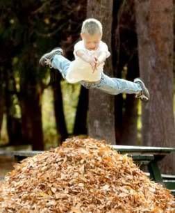 Boy jumping in leaves Pictures, Images and Photos