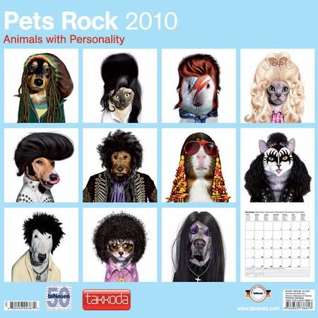 Pets Rock calendar