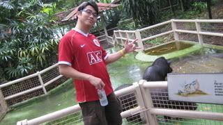 Photo Sharing and Video Hosting at Photobucket