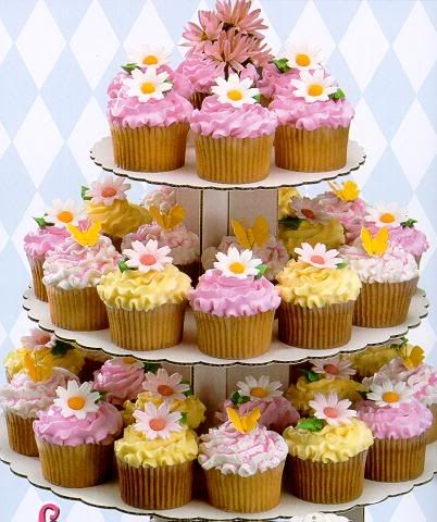 http://i111.photobucket.com/albums/n150/Klcook81/cupcakes.jpg