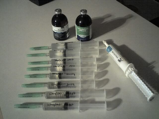 Major Prob w/ 4 new calves (respiratory) - Cattle