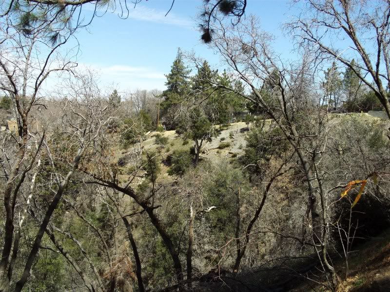 San Bernardino Mountains Two