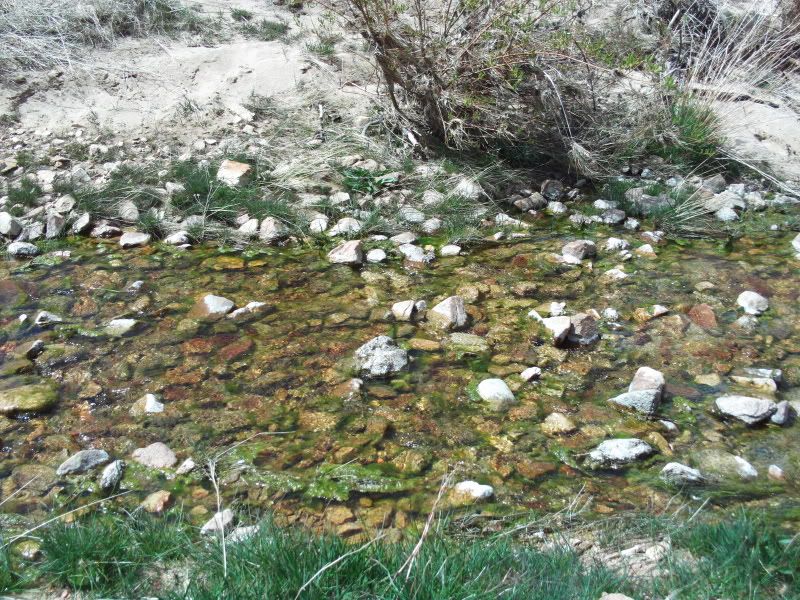 A Small Creek Near The Pinnacles