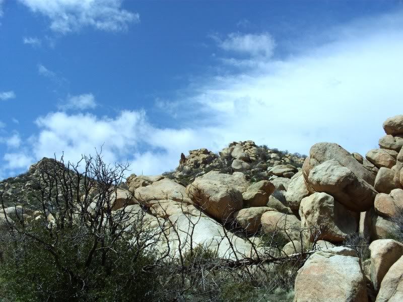 Large Boulders At The Pinnacles