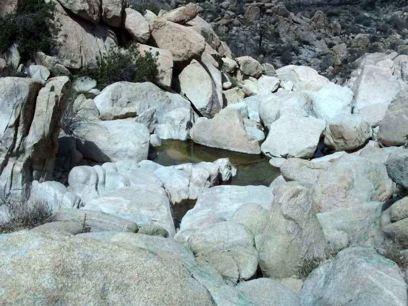 Rocks at the Pinnacles