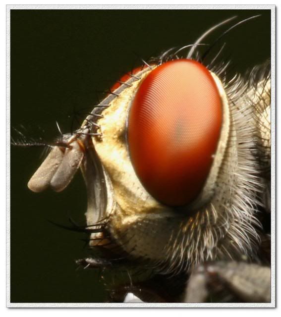  photo IMG_3194_zpsce3a0da8.jpg