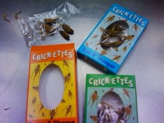 Crunchy Crickets