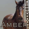 Amber Avatar
