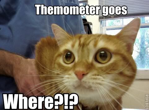 thermometercatroflbot.jpg