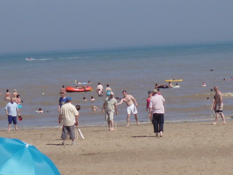 P8050303.jpg