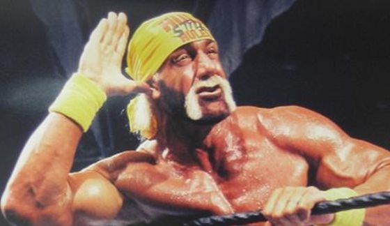 hulk-hogan-ear-cup1.jpg