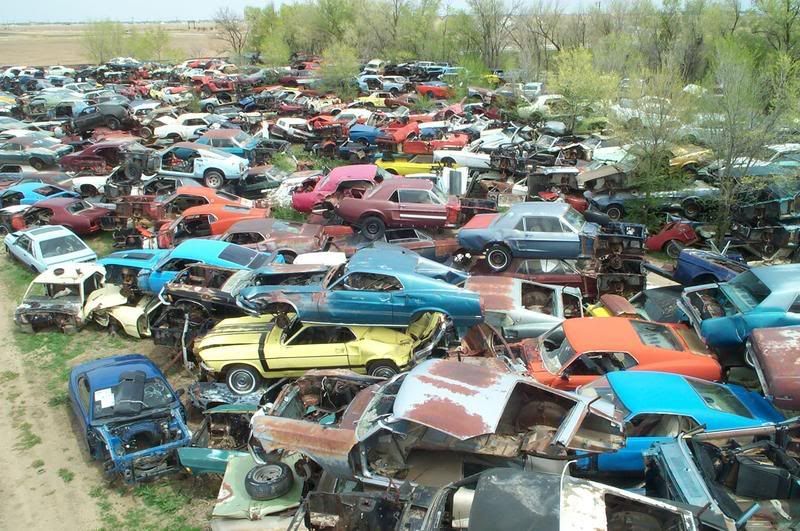 massive mustang junkyard