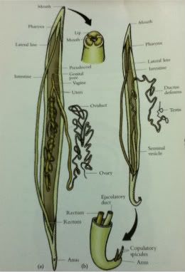 Affordable mobile productivity and learning tools!