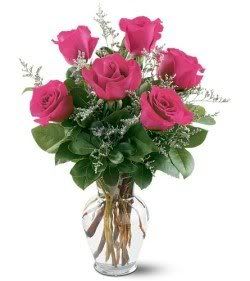 roses.jpg roses image by jacksdolphins