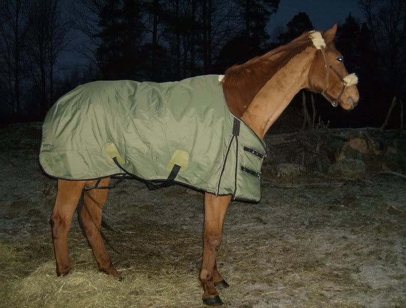 frost006.jpg