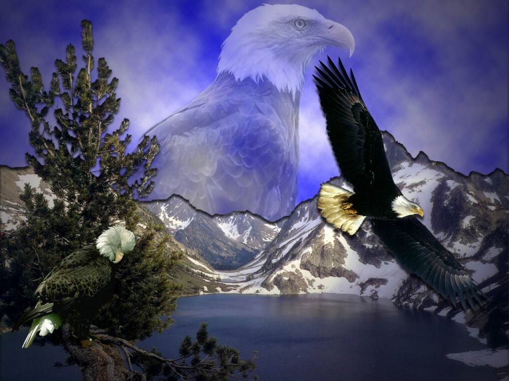 Mnt Eagles Wallpaper | Mnt Eagles Desktop Background