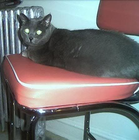 Smokey On The Stool