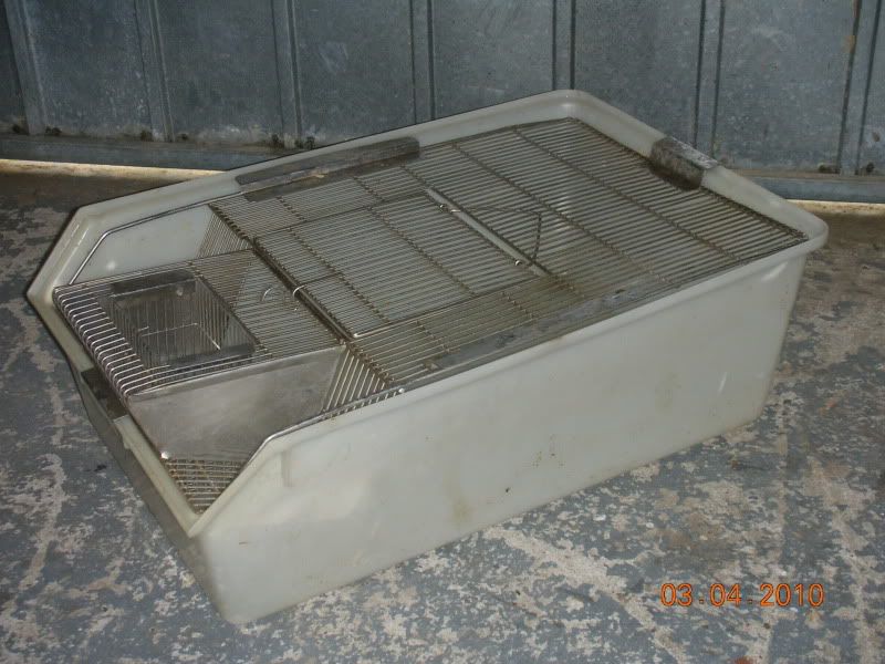 SE England Cheap Rat and Mouse Cages (Priced For Quick Sale