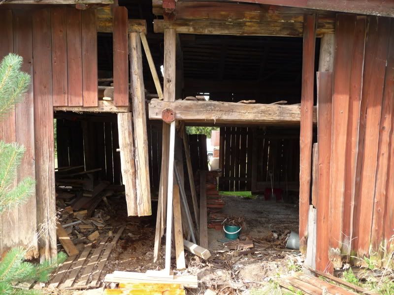 http://i111.photobucket.com/albums/n125/michz_2006/P1080381.jpg