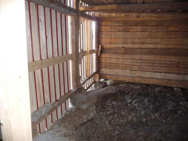 http://i111.photobucket.com/albums/n125/michz_2006/P1090270.jpg