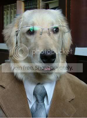 doggy01.jpg